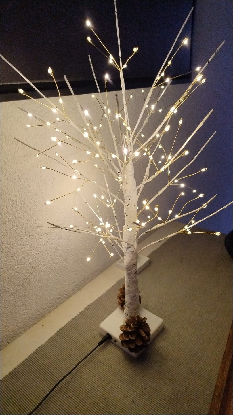 Customer photo review of Bäumlein® - 144 LEDs (Winter Edition)
