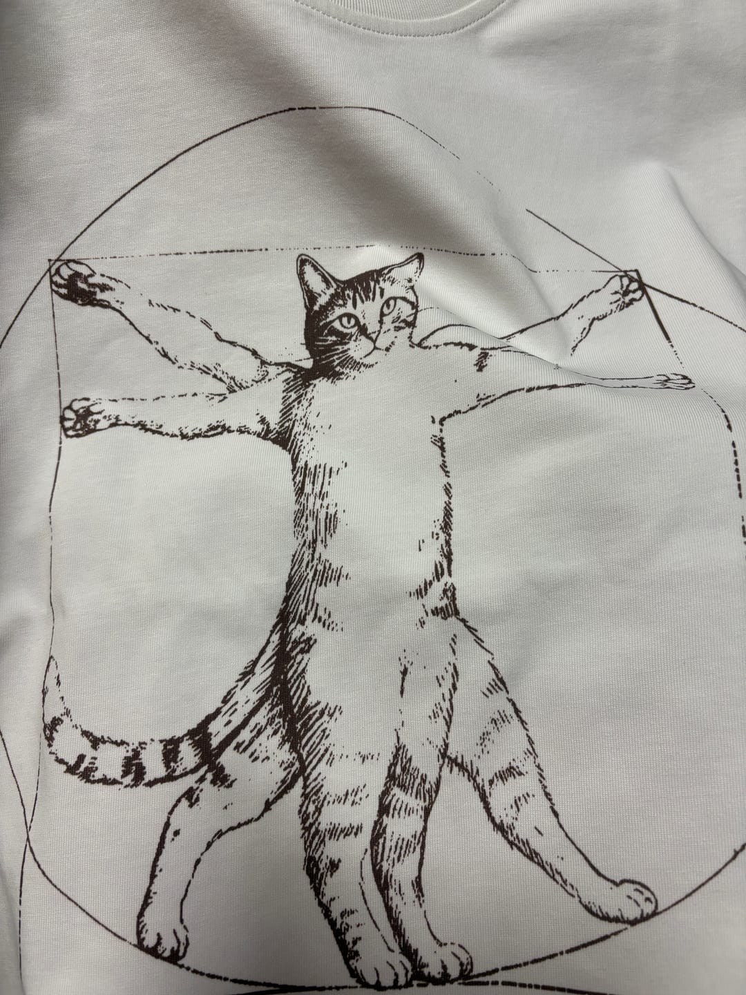 Customer photo review of 「ウィトルウィウス的にゃん体図」スケッチ風線画コットンTee