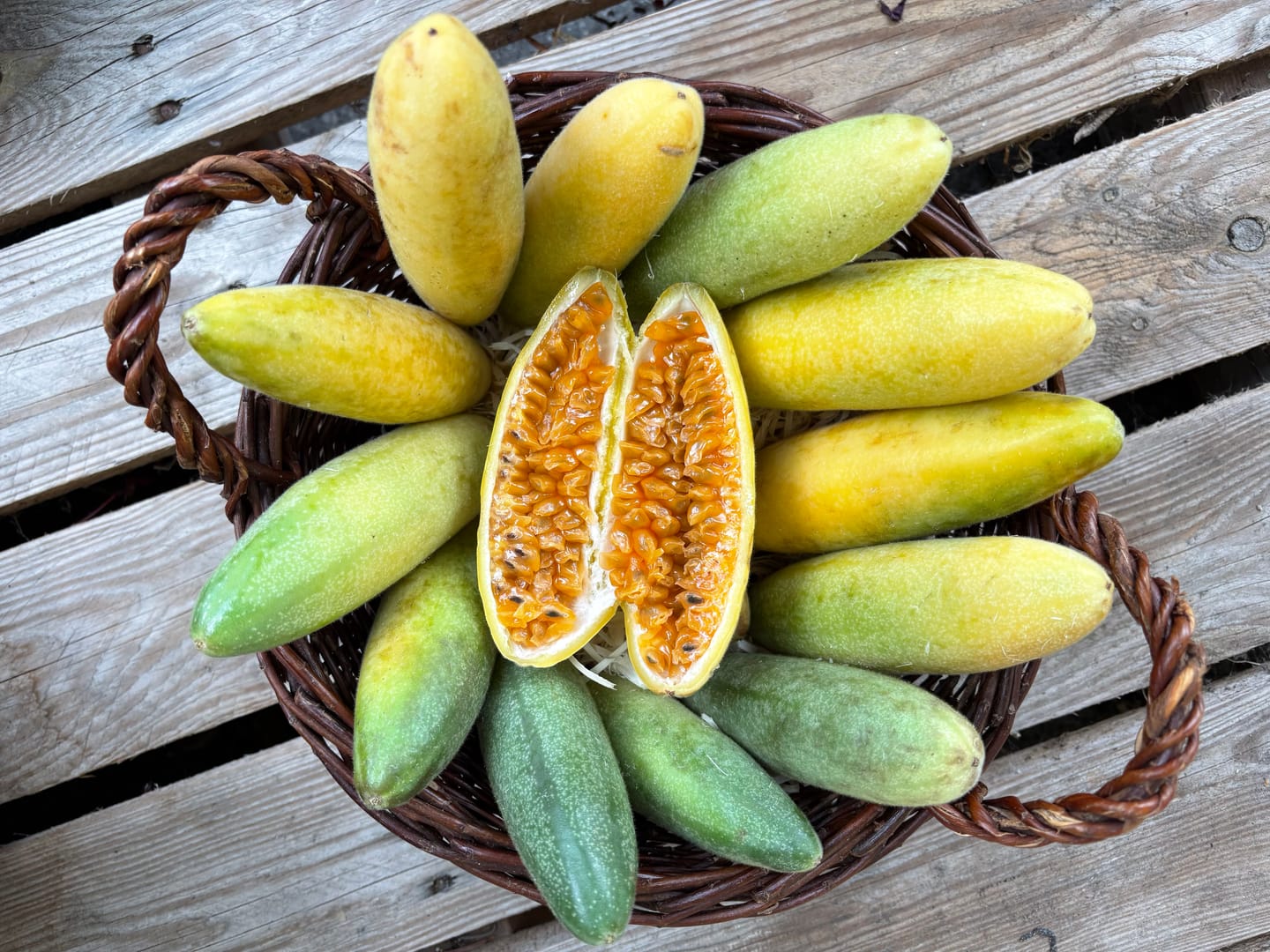 Customer photo review of Curuba (Bananen-Maracuja)