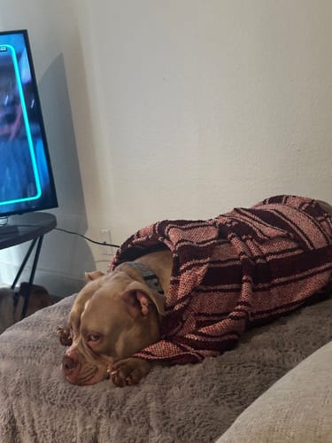 Customer photo review of Playa Poncho - Surprise Color