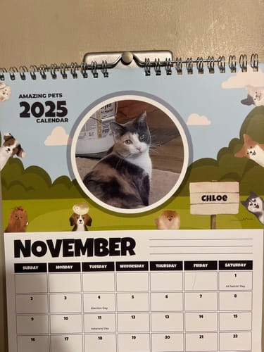 Customer photo review of Official Pupvote Cutest Pets of the Year Calendar (2026)