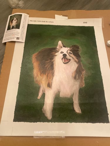 Customer photo review of Custom Paint By Numbers Kit - Upload Your Photo - Brush Set Included