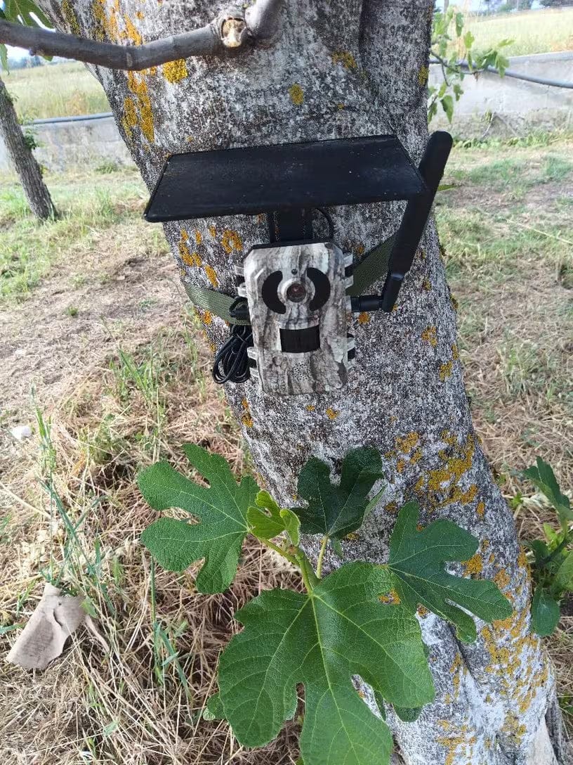Customer photo review of Caméra De Chasse 4G + Panneau solaire + Application Mobile