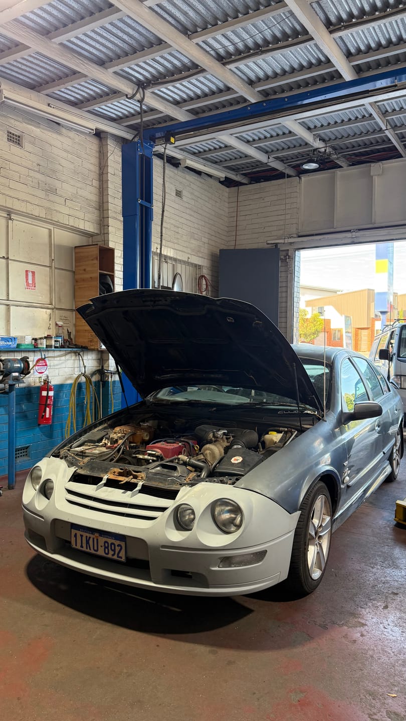 Customer photo review of AU XR6/8 Headlight Frames