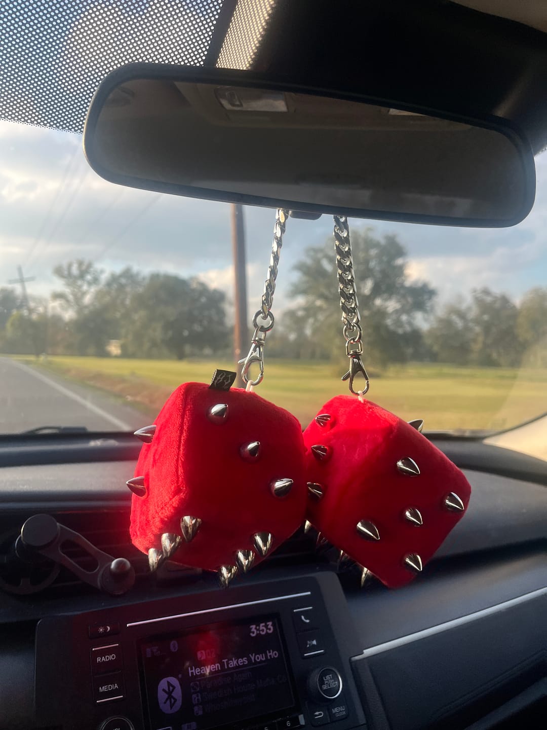 Customer photo review of SPIKE DICE PLUSHIE