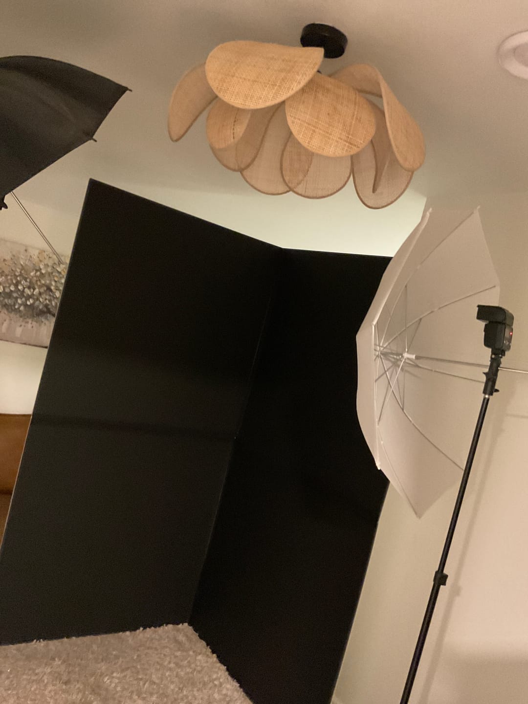 Customer photo review of Foldable V-Flat 2.0 (improved)