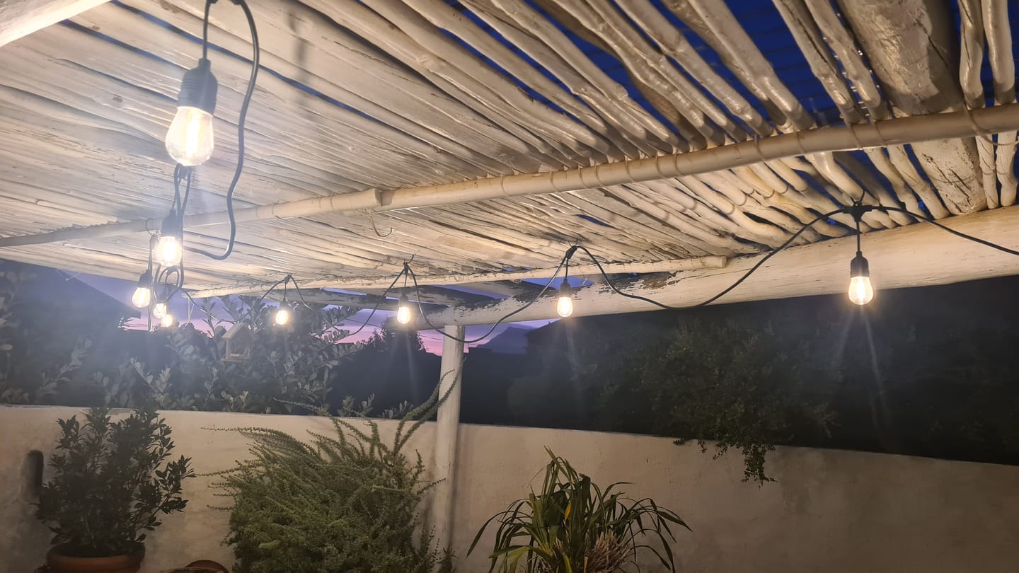 Customer photo review of Plug-In Festoon Bulb String Lights