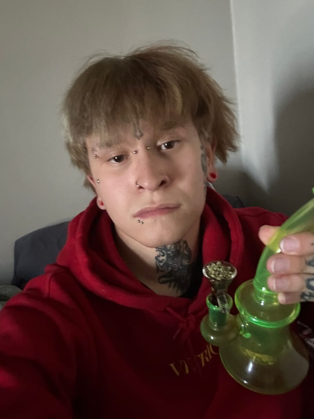 Customer photo review of Sour Diesel - THCa Flower