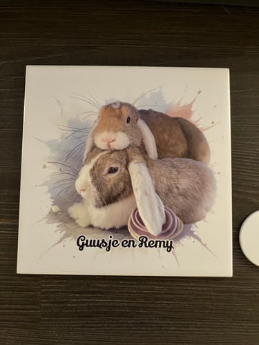 Customer photo review of Tegel met Gepersonaliseerd Huisdier Portret in Aquarelstijl