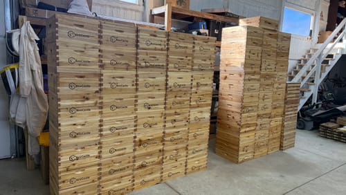 Customer photo review of BeeCastle 10-Frame Unassembled Medium Super Beehive Box with Pine Wooden Frames and Beeswax-Dipped Yellow Plastic Foundation