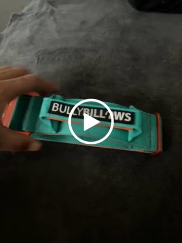 Customer video review of 5cm Lighter Combat® Collar | With Handle Secure Clip - Turquoise x Orange