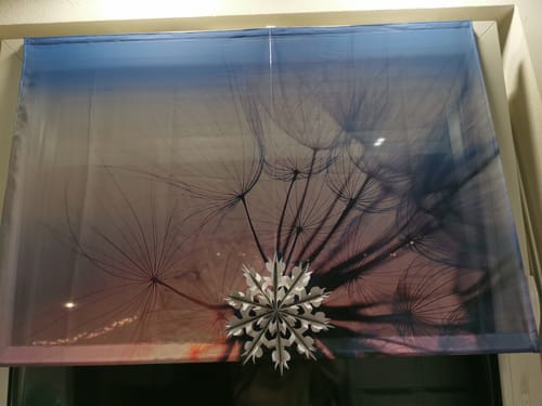 Customer photo review of Foto Schiebegardine "Pusteblume V3"