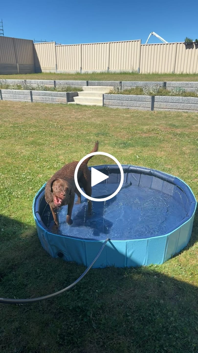 Customer video review of Pet Dog Pool – Folding 2-in-1 Splash Bath Tub