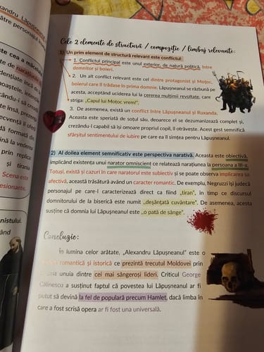 Recenzie cu fotografie de la un client despre Carte Română Bacalaureat Bacademia (temă și viziune, caracterizare, relație) - Ediția II