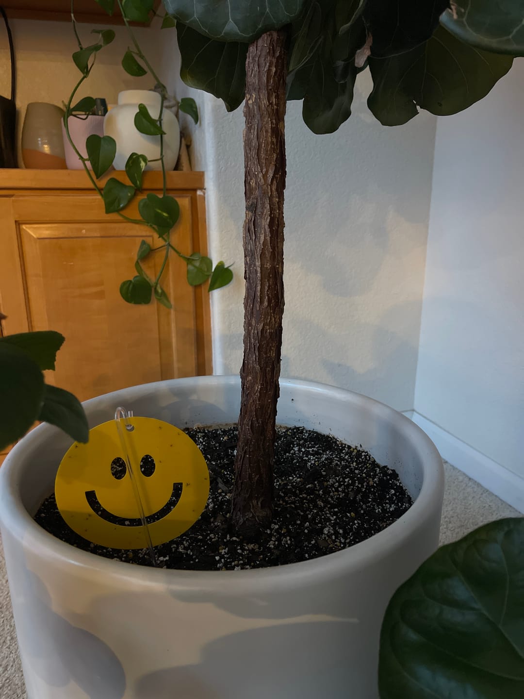 Customer photo review of Killer Smiles
