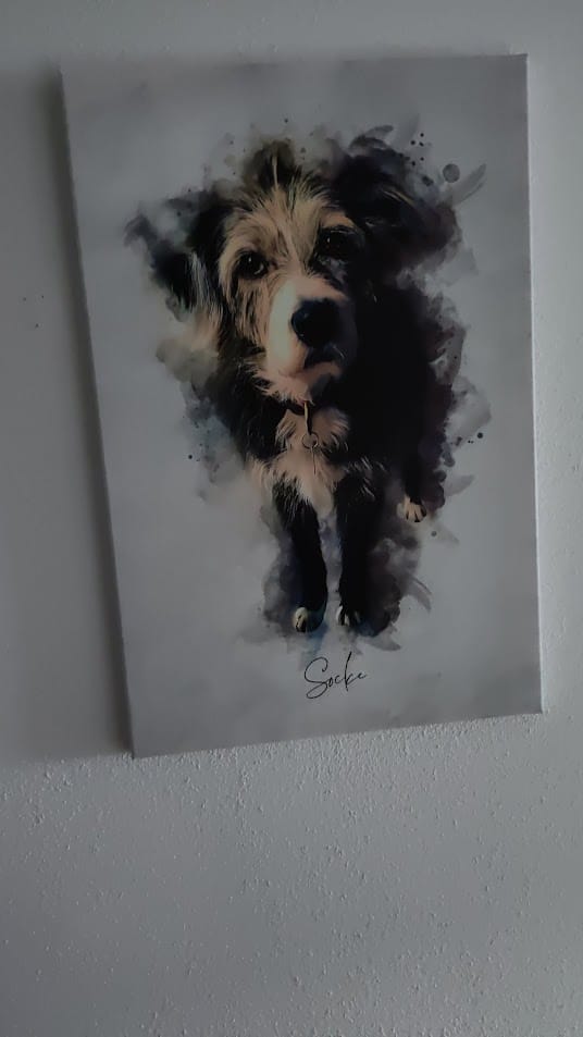 Customer photo review of Dein Hund als Aquarell Tierportrait | Geschenk für Hundebesitzer