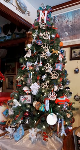 Customer photo review of Personalized Pet Christmas Ornament