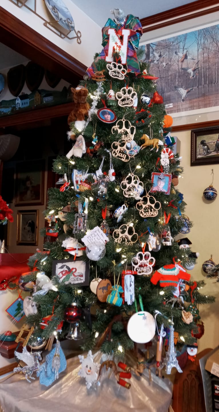 Customer photo review of Personalized Pet Christmas Ornament
