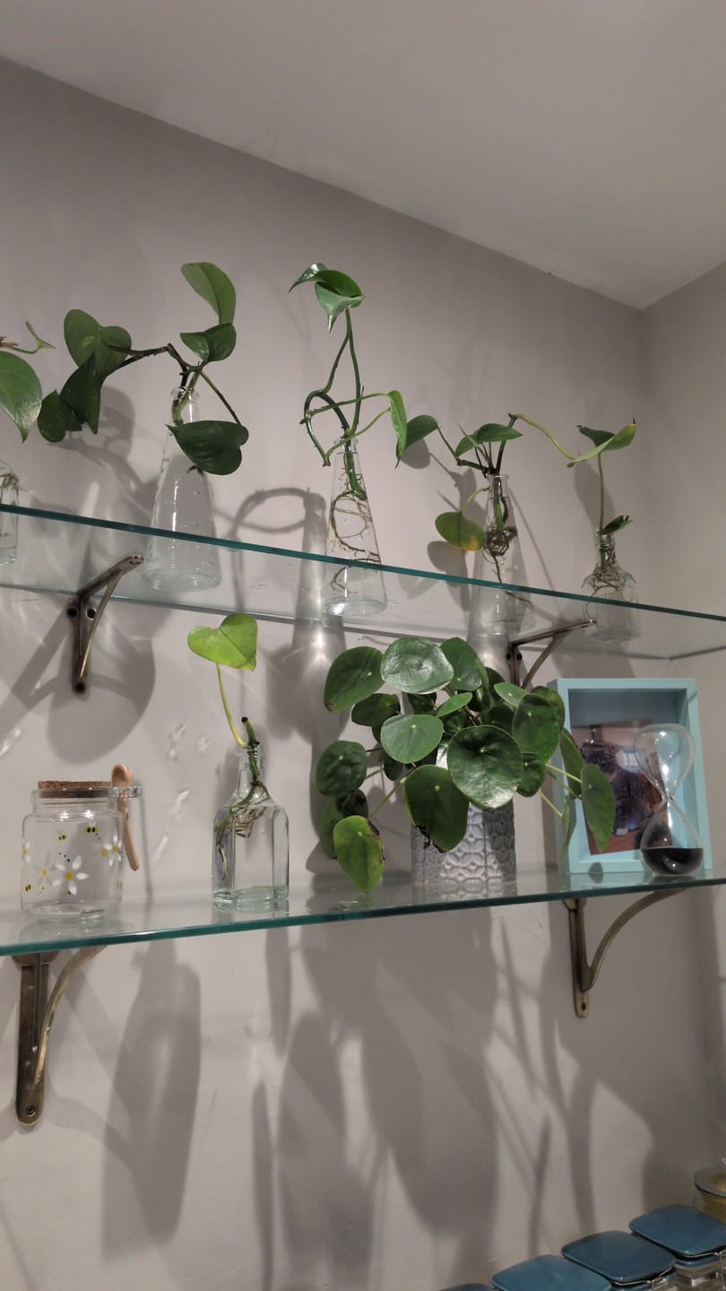 Customer photo review of Ironbridge Aged Brass Shelf Brackets | 4.5/6/7/8/10"