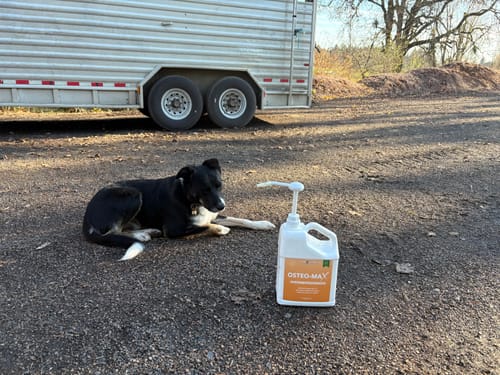 Customer photo review of Osteo-MAX » up to 29% Off