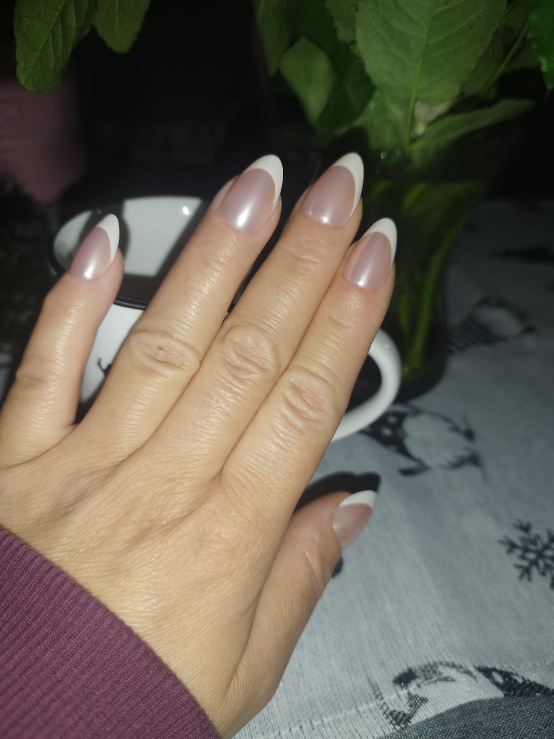 Customer photo review of Starter Set - Nail Veneers