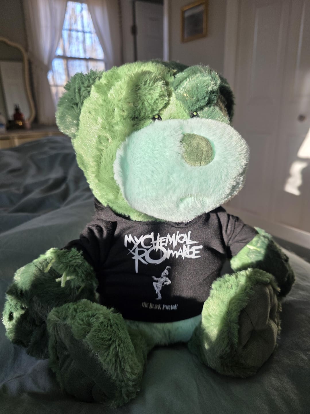 Customer photo review of Custom Plushie Hoodie for 14–16 in Stuffed Animals