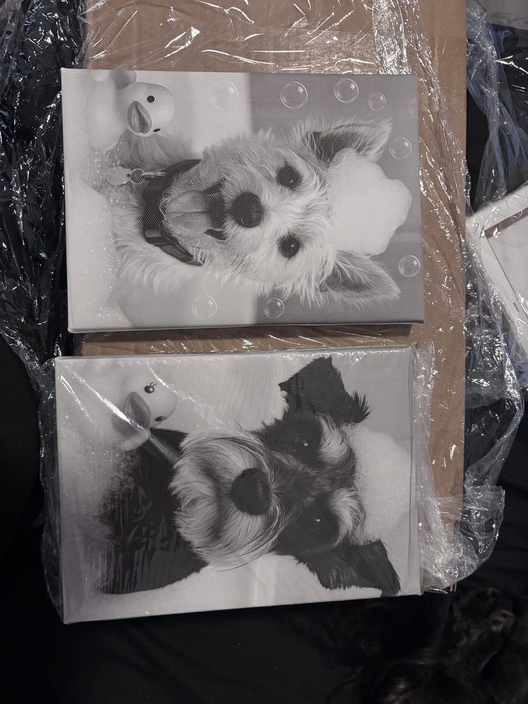 Customer photo review of 6 x A5 Canvas Combo