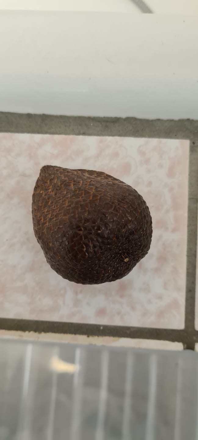 Customer photo review of Salak (Schlangenfrucht) naturbelassen