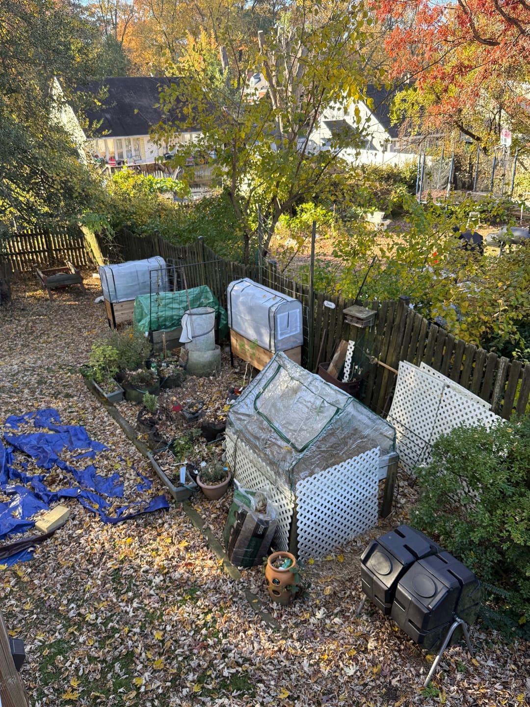 Customer photo review of Greenhouse Cover