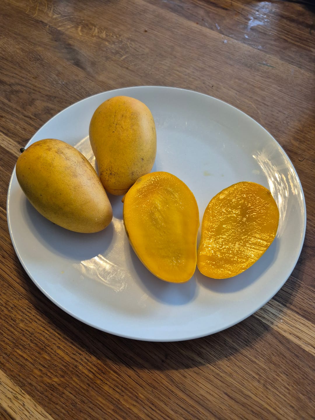 Customer photo review of Mango Honig Ataulfo Bio von Joe Roman Sparbox