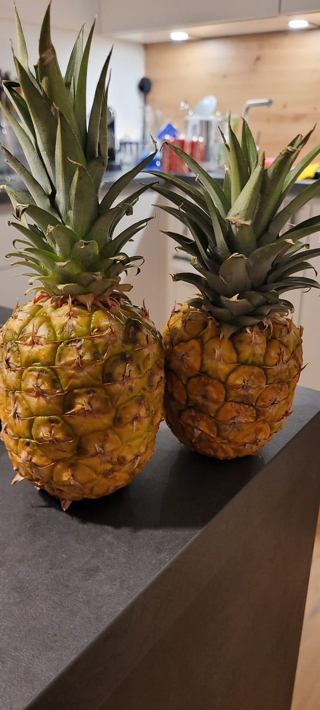Customer photo review of Baby-Ananas reifgeerntet
