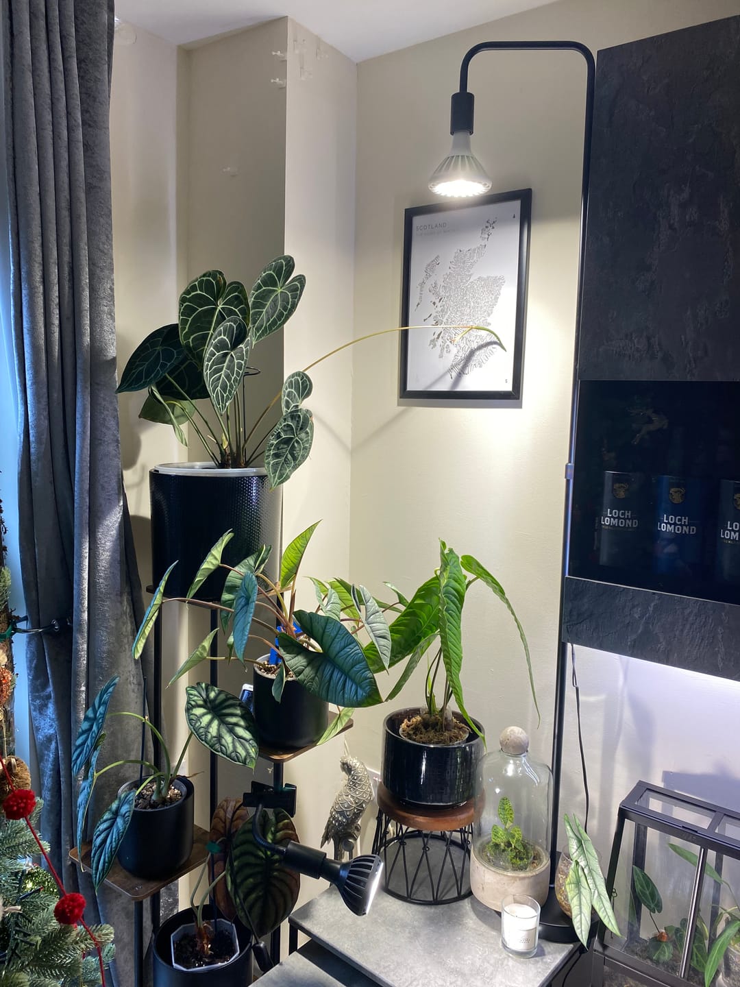 Customer photo review of Pianta Adjustable Floor Lamp