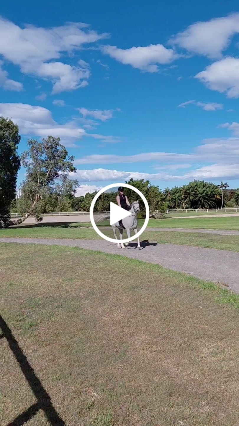 Customer video review of Thames SoHo Riding Tank - Black