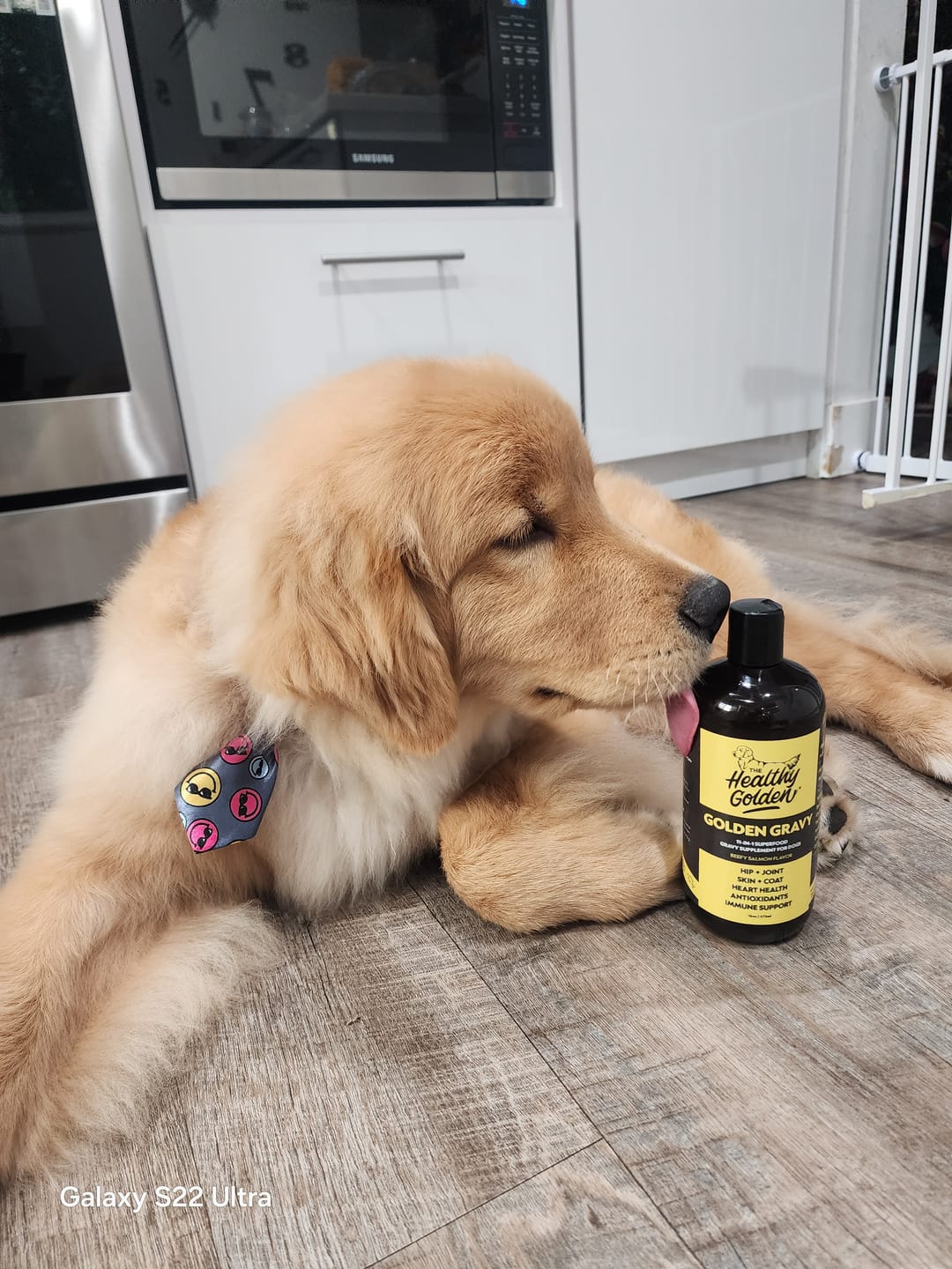 Customer photo review of Golden Gravy