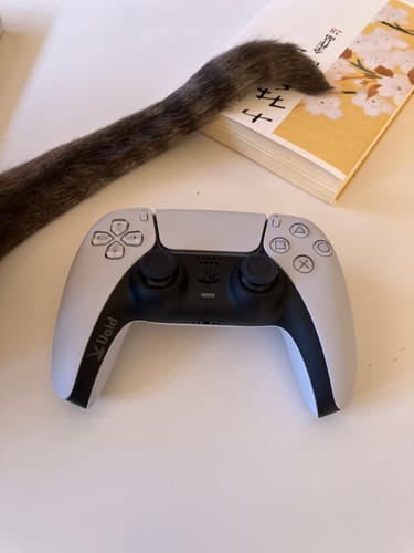 Customer photo review of ボイドコントローラー 【クリティカルモデル】 - デュアルセンス PS5 コントローラー