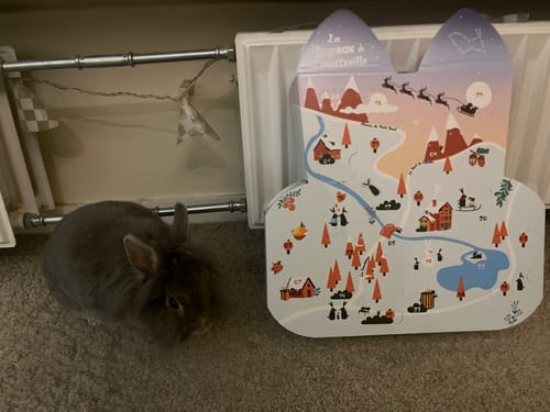 Customer photo review of Calendrier de l’Avent - La Hopbox à CarotteVille