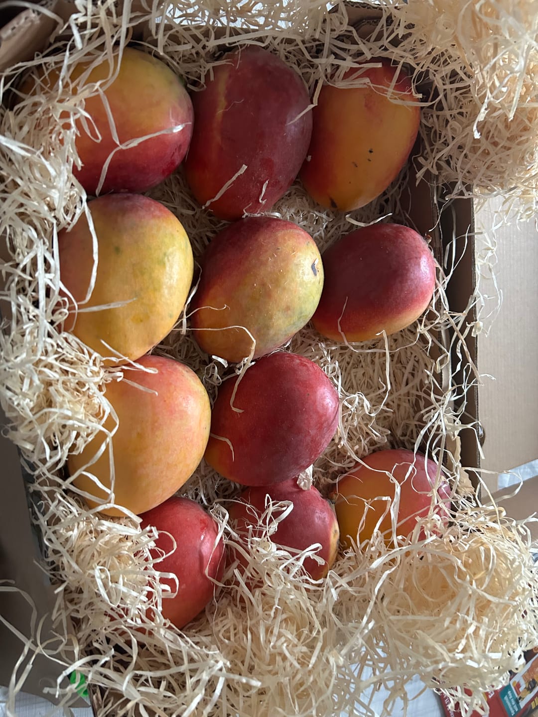 Customer photo review of Mango Sensacion Bio von Paco Sonderpreis
