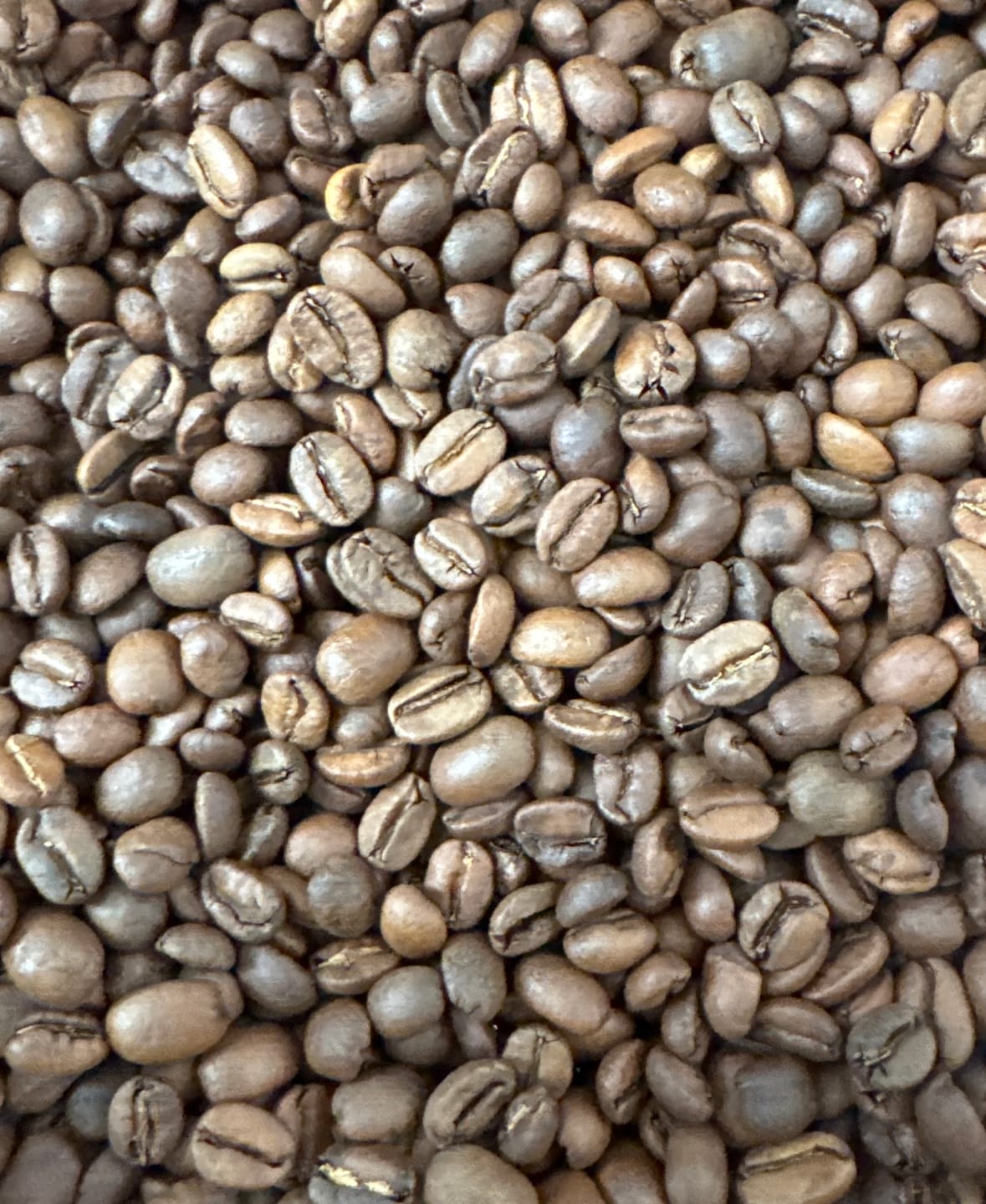 Customer photo review of Costa Rica Rivense Finca El Mango Honey Process
