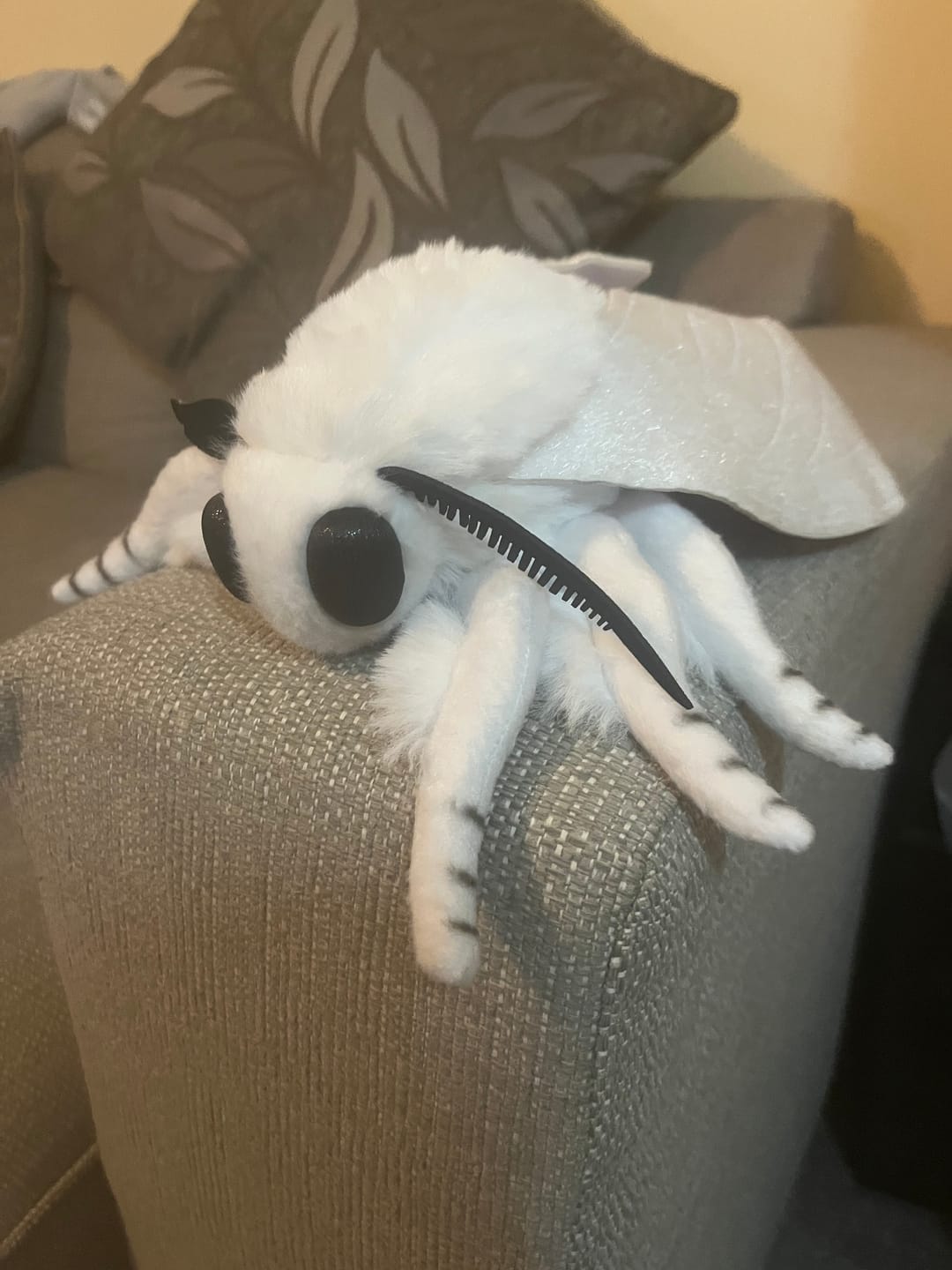 Customer photo review of Fall Webworm Moth Soft Stuffed Plush Toy