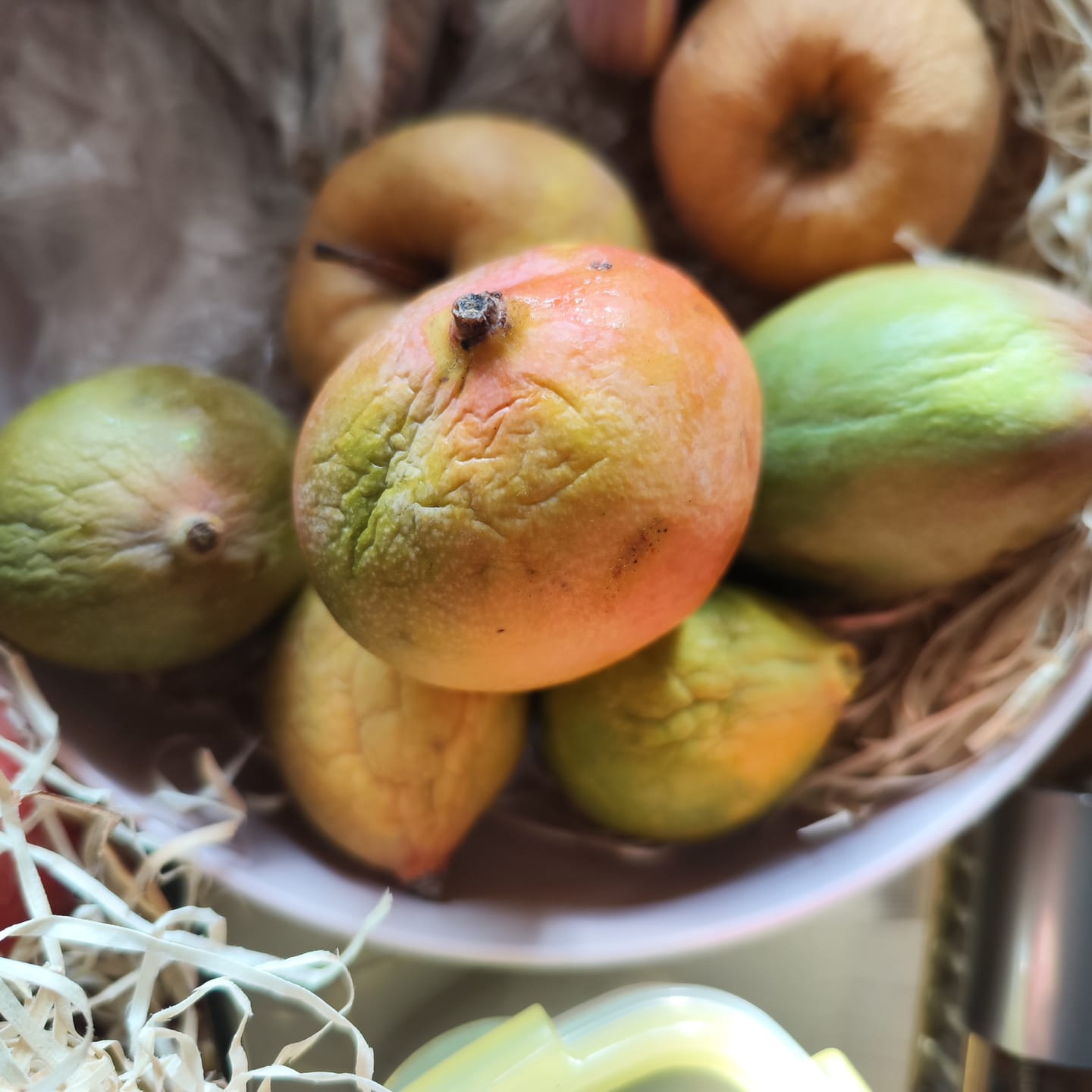 Customer photo review of Mini-Mango Keitt Bio Sonderpreis %
