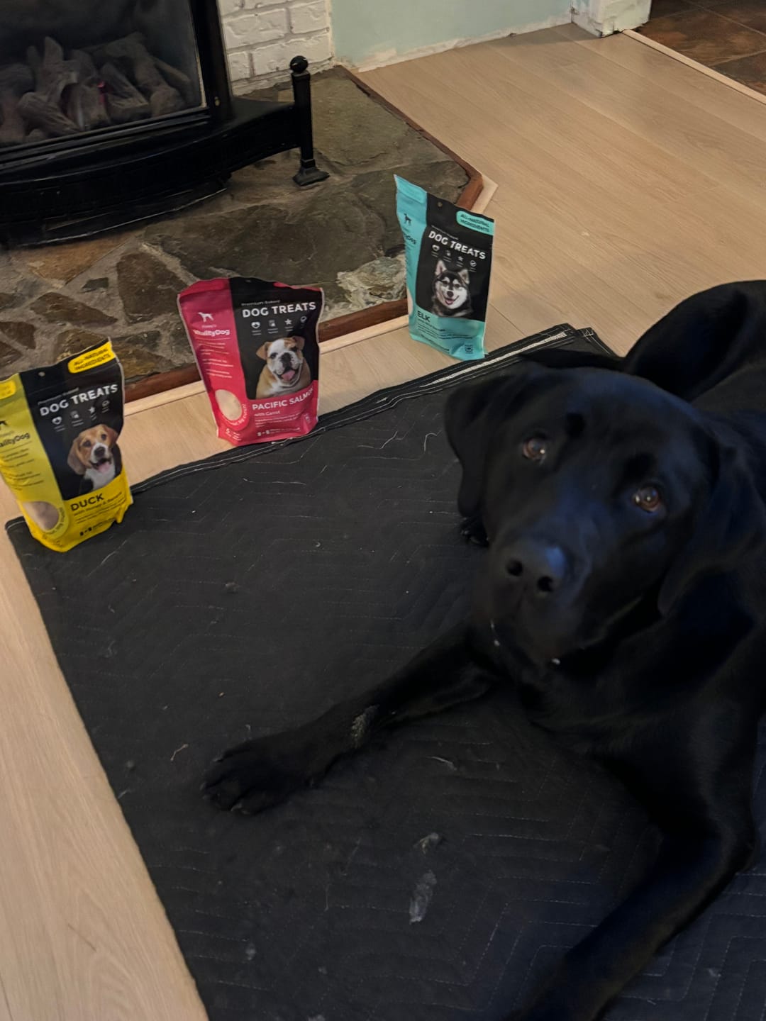 Customer photo review of VitalityDog - 7 Pack Bundle