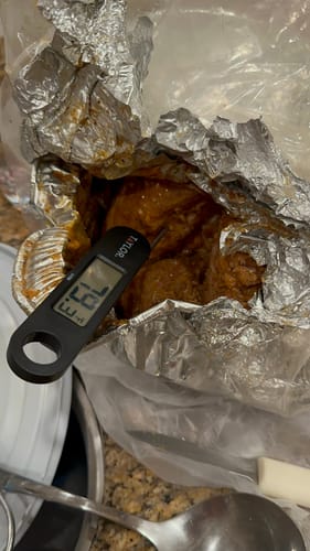Customer shows a spoiled turkey with a thermometer reading 79.3°F after a shipping delay.