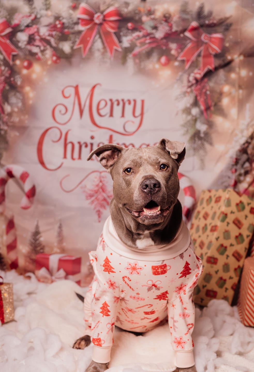 Customer photo review of Dog Christmas Pajama - Candy Cane