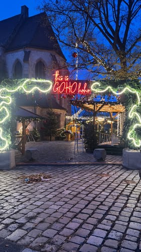 Customer photo review of Custom Neon: this is GOHO ho...