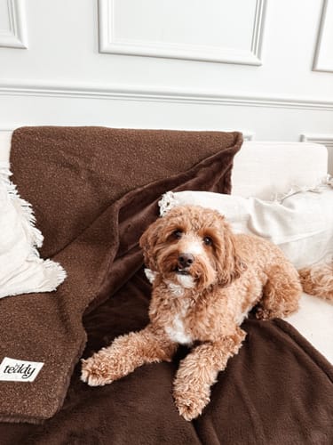 Customer photo review of The Bouclé Blanket
