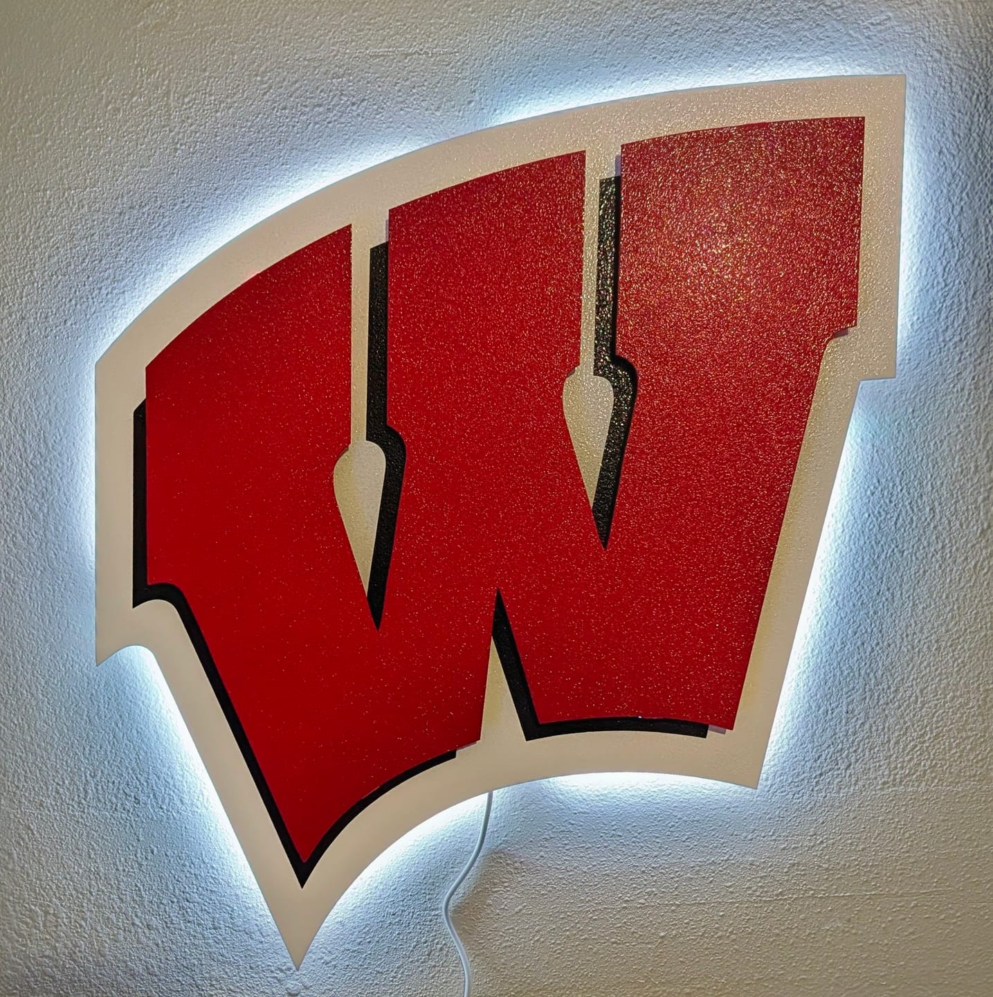 Customer photo review of Wisconsin "W" 3D Vintage Metal Artwork