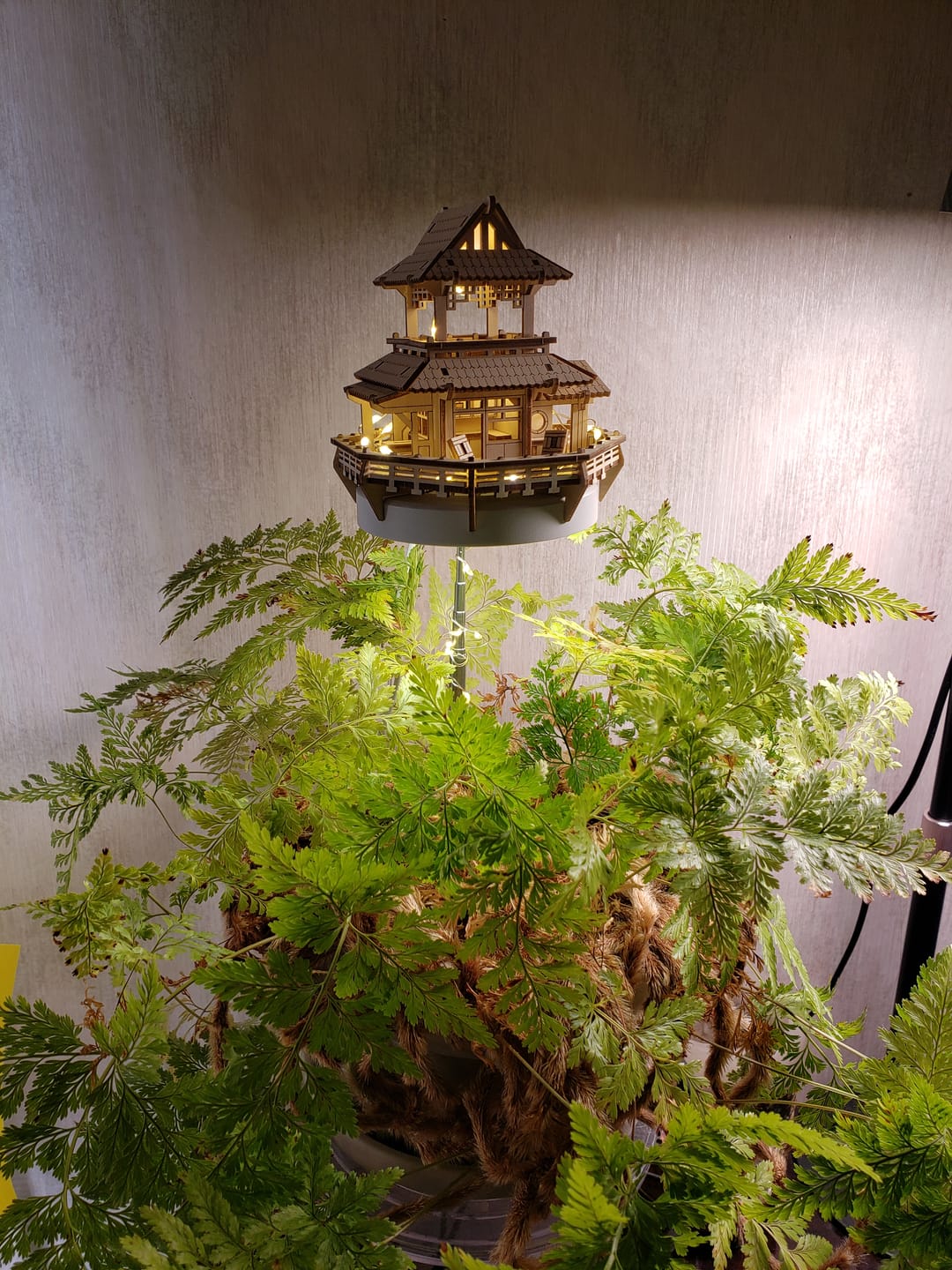 Customer photo review of Sunrise Terrace + Grow Light