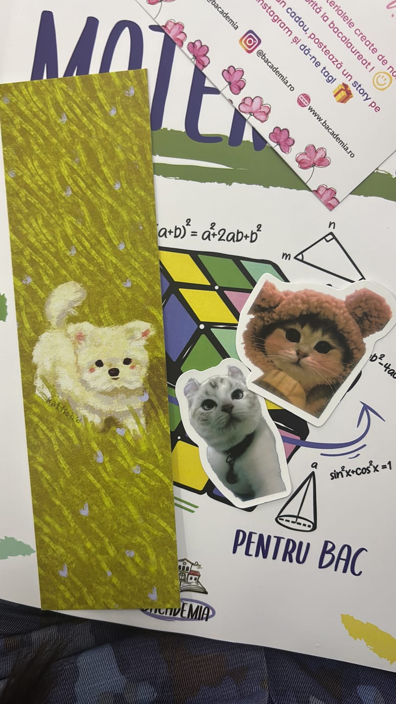 Customer photo review of Carte Matematică Bacalaureat (M1, M2, M3, M4) Bacademia