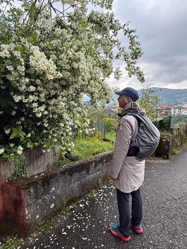 Customer photo review of The Cairo Sands