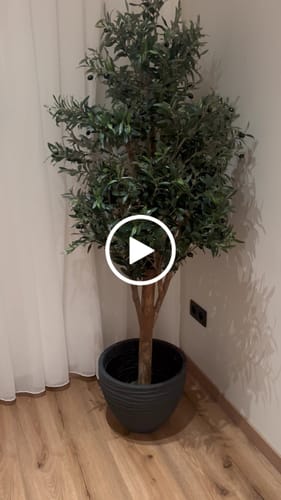 Customer video review of Kunst Olijfboom 170cm Deluxe